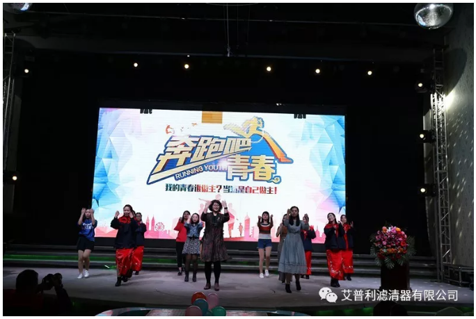感恩相伴，溫暖同行-艾普利2018年度優(yōu)秀員工表彰大會暨新春年會(圖9)